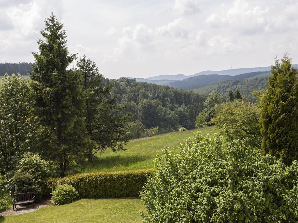 Pension Haus Brieden Winterberg Exterior photo